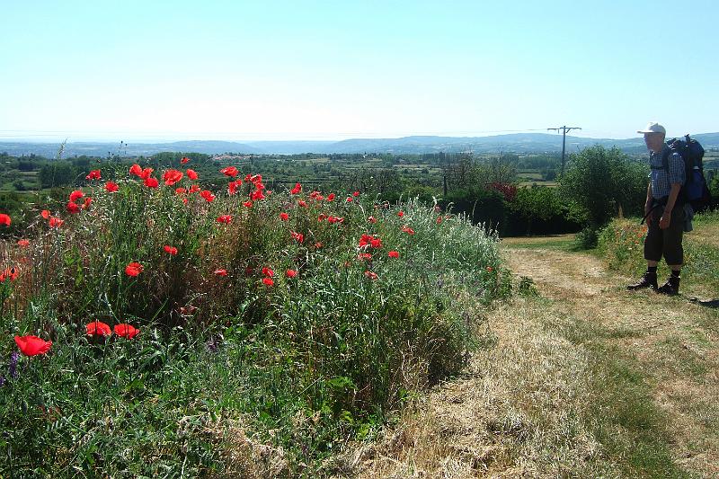 2011-05- (309).JPG - Mohnblumen sind unsere ständigen Begleiter - nicht nur heute